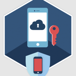 ElcomSoft Phone Breaker Forensic 2025 Lifetime License – Best Price