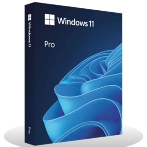 Windows 11 Professional Lite Lifetime License – Best Price